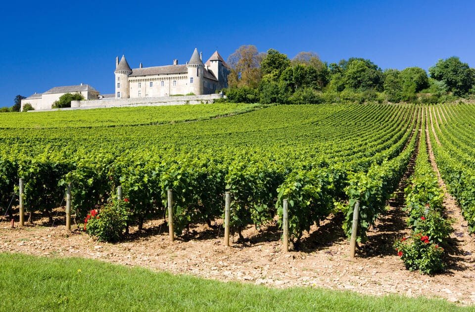 Bordeaux privat vintur 2026