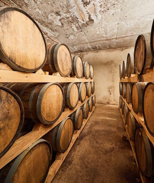 Bordeaux Private Wine Tour 2026