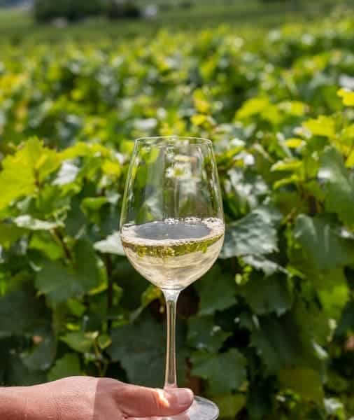 Bordeaux Private Wine Tour 2026