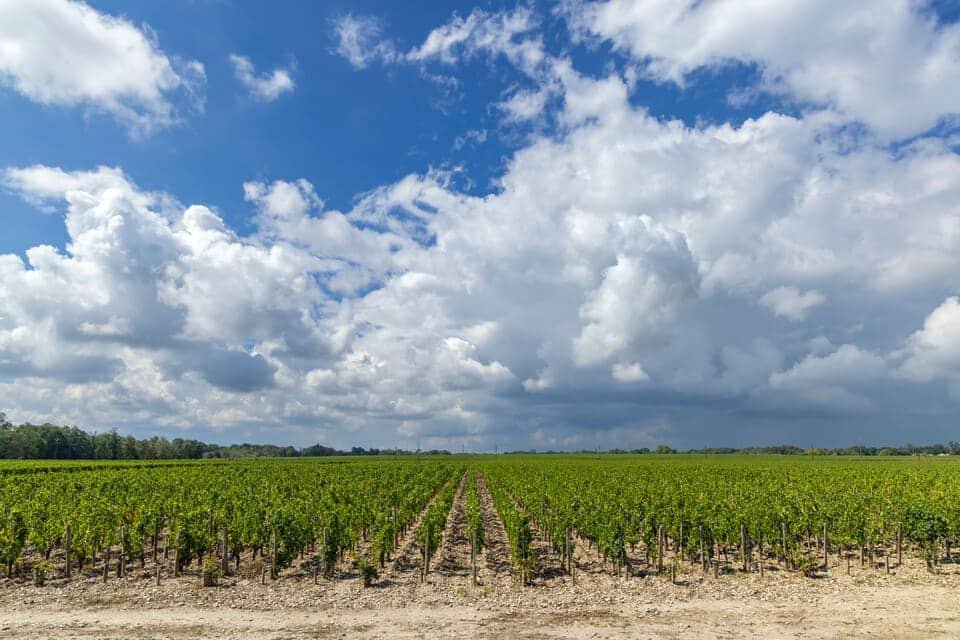 Château Margaux Wine Tour 2026