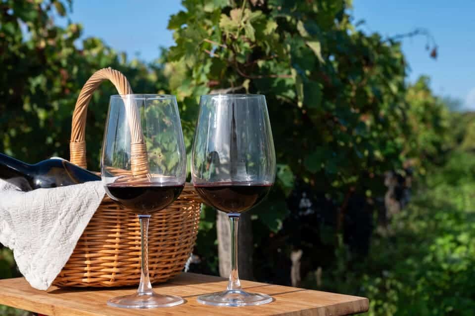 Prohlídka Château Margaux