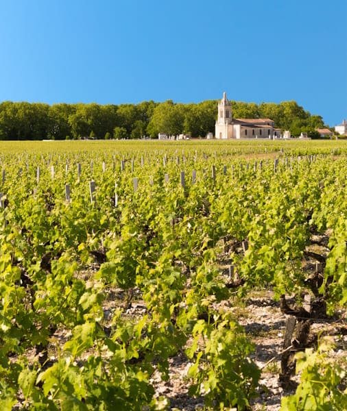 Médoc Wine Tour 2026