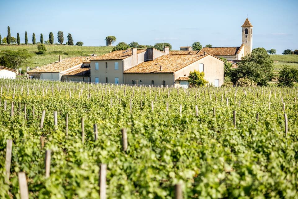 Prohlídka vína v Saint-Émilion