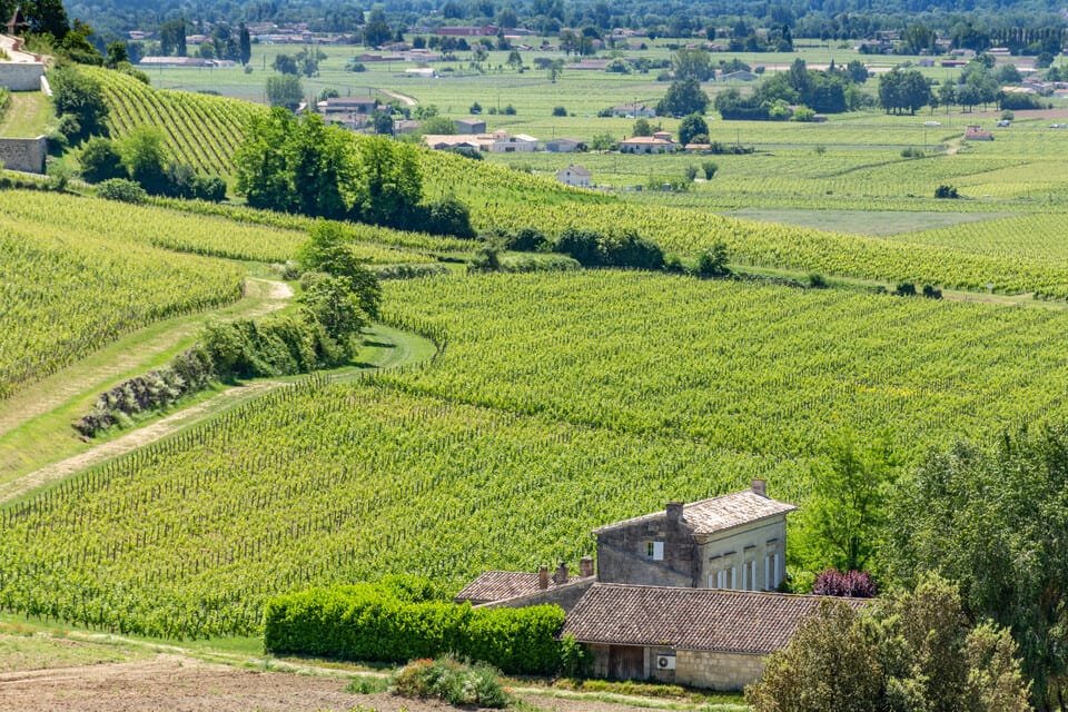 Saint-Émilion Wine Tour 2026
